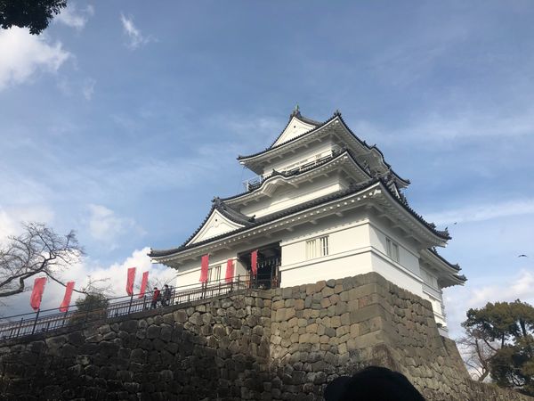 日本「小田原♡2020」の写真