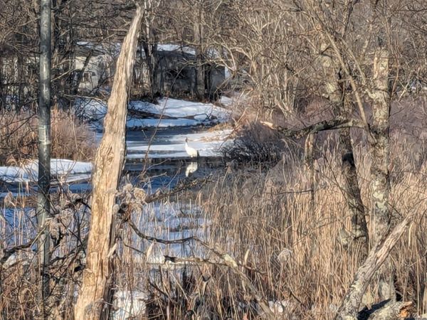 日本・北海道「道東ロードトリップ」の写真：もう時期はずれではあったようだが、せっか...