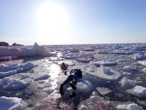 ウトロで流氷ウォーク
流氷に覆われたオホーツク海に沈む夕日
例年3月下旬は...