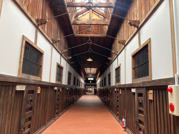 日本・北海道「道東ロードトリップ」の写真：札幌丘珠空港から女満別空港へ飛び、レンタ...