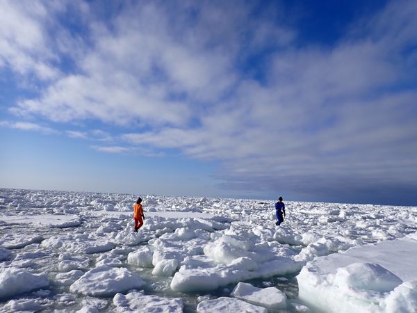 日本・北海道「道東ロードトリップ」の写真：ウトロで流氷ウォーク
流氷に覆われたオホ...