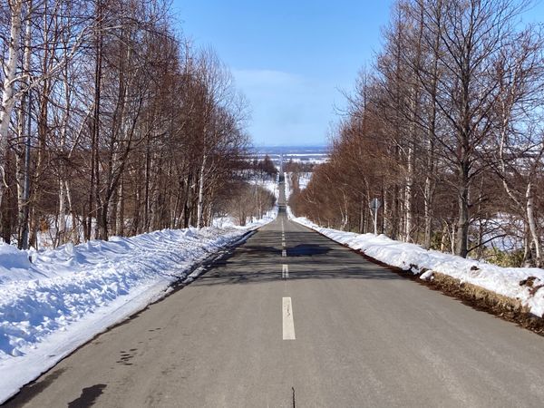 日本・北海道「道東ロードトリップ」の写真：知床から釧路までの道中、天に続く道や阿寒...