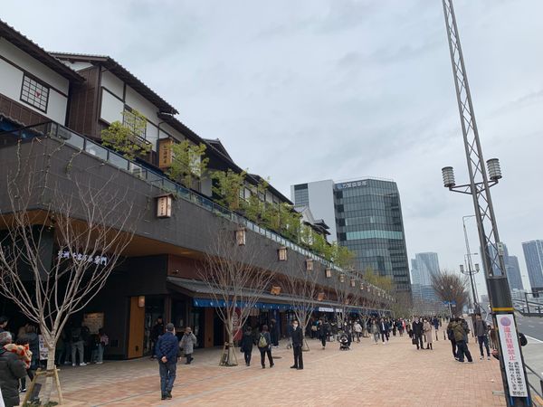 日本・千葉県「東京満喫！」の写真：いろはで海鮮食べ放題初体験