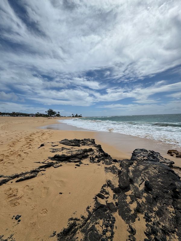 アメリカ(米国)・ハワイ「ハワイ」の写真：全米ナンバーワンビーチ「サンディビーチ」...