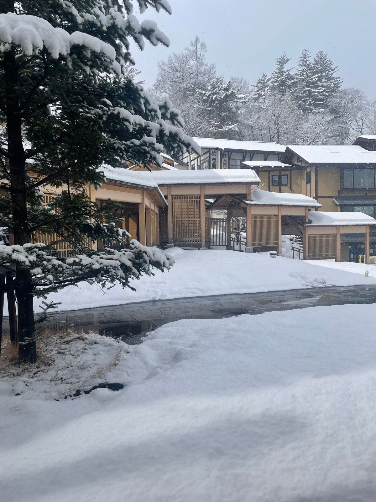 3月下旬でも雪が降る幻想的な草津温泉。
湯もみショーは一度は見るべきだね。...