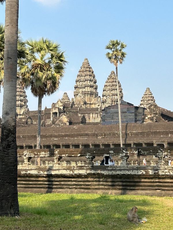 カンボジア・シェムリアップ「カンボジア」の写真