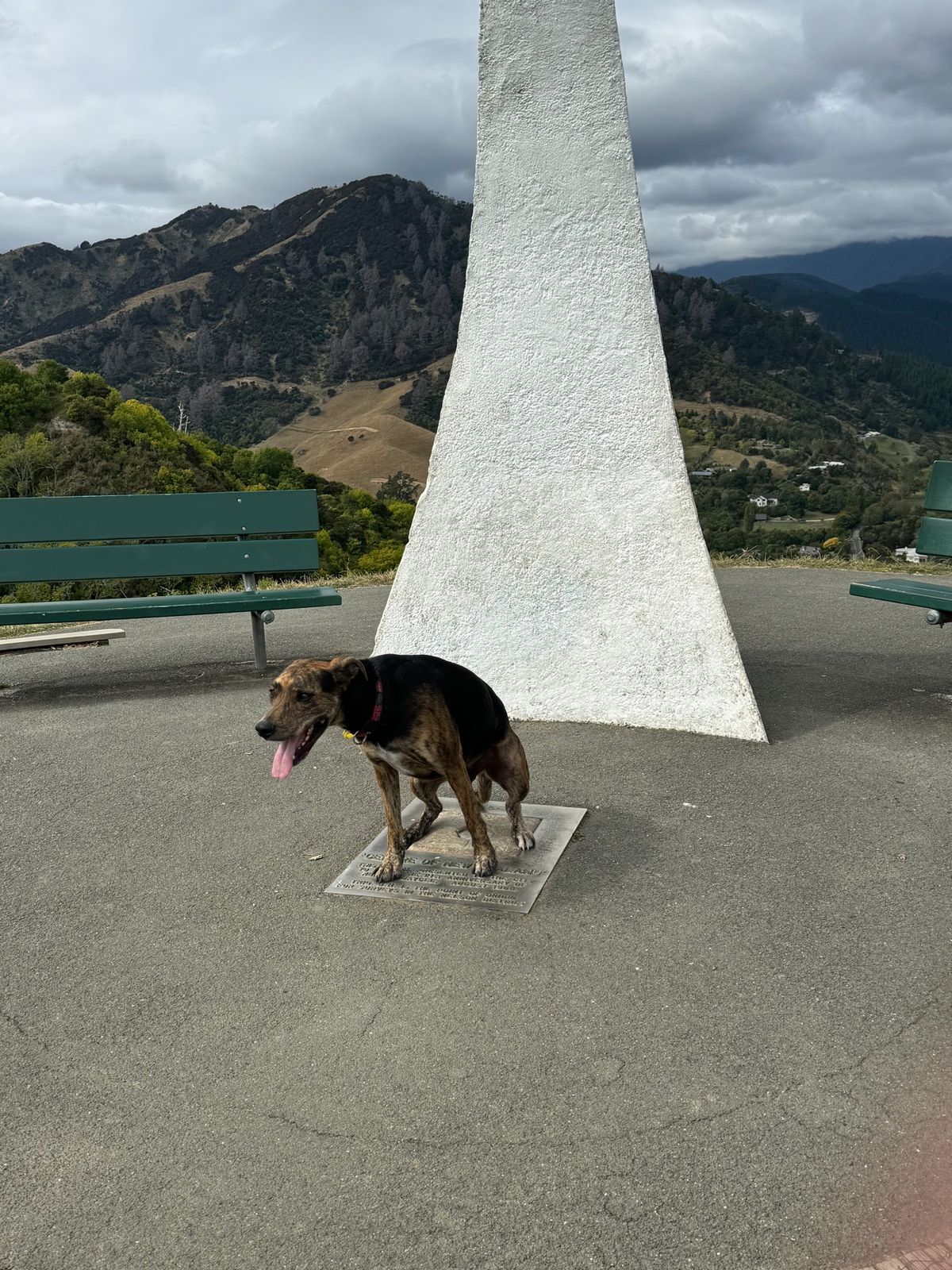 “Centre of New Zealand “
その名の通り中心
けどネ...