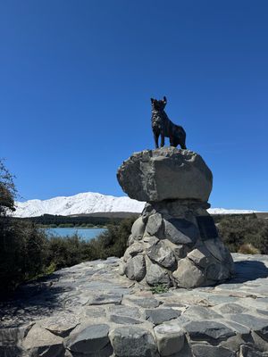 Tekapo
雪山背景の景色、星空は想像以上でした。