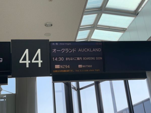 ニュージーランド・Auckland「 NZの旅」の写真： NZ airline
いよいよ出発
奮...