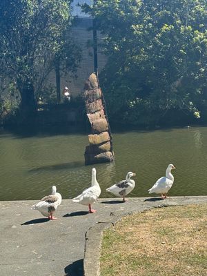 Queens Garden 
鳥がたくさん🦆
こう言う公園がちょこちょこ
...