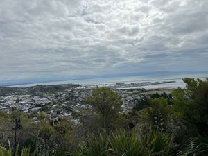 “Centre of New Zealand “
その名の通り中心
けどネ...