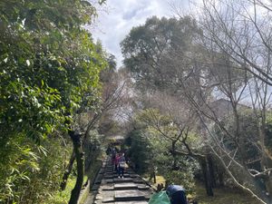 高台寺の枝垂れ桜は三分咲きかな