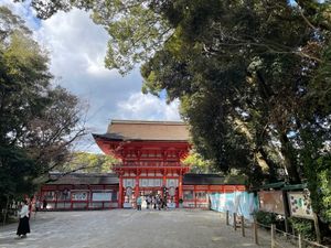 最後は出町柳から糺の森を歩いて下鴨神社へ。