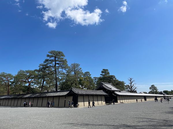 日本・京都府「京都お花見旅行」の写真：京都御苑