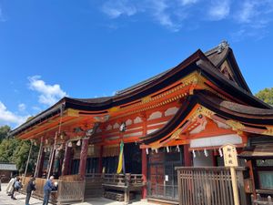 円山公園と八坂神社。