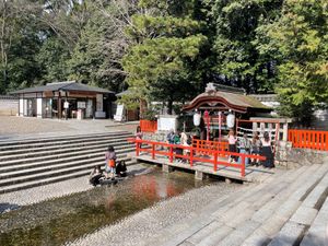 最後は出町柳から糺の森を歩いて下鴨神社へ。