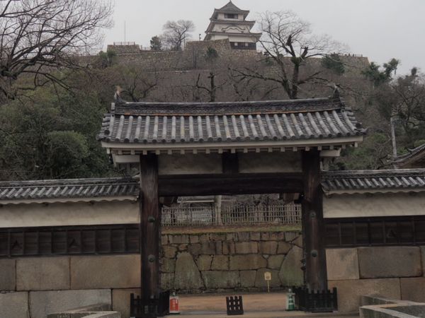 日本・香川県「前夜に前乗り香川県」の写真：丸亀城