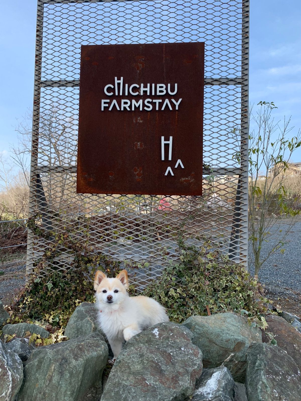 橋のライトアップがなかった、、😓