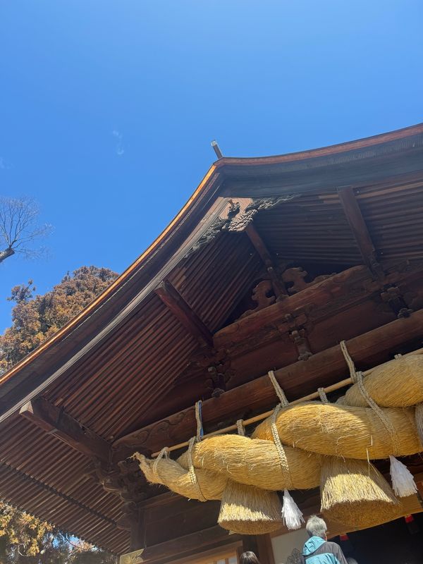 日本・長野県「長野県」の写真：諏訪大社　下社秋宮