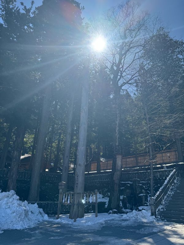 日本・長野県「長野県」の写真：諏訪大社　上社本宮