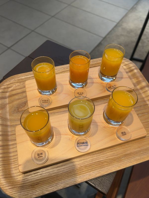 日本・愛媛県「道後温泉旅行」の写真：食い倒れ4