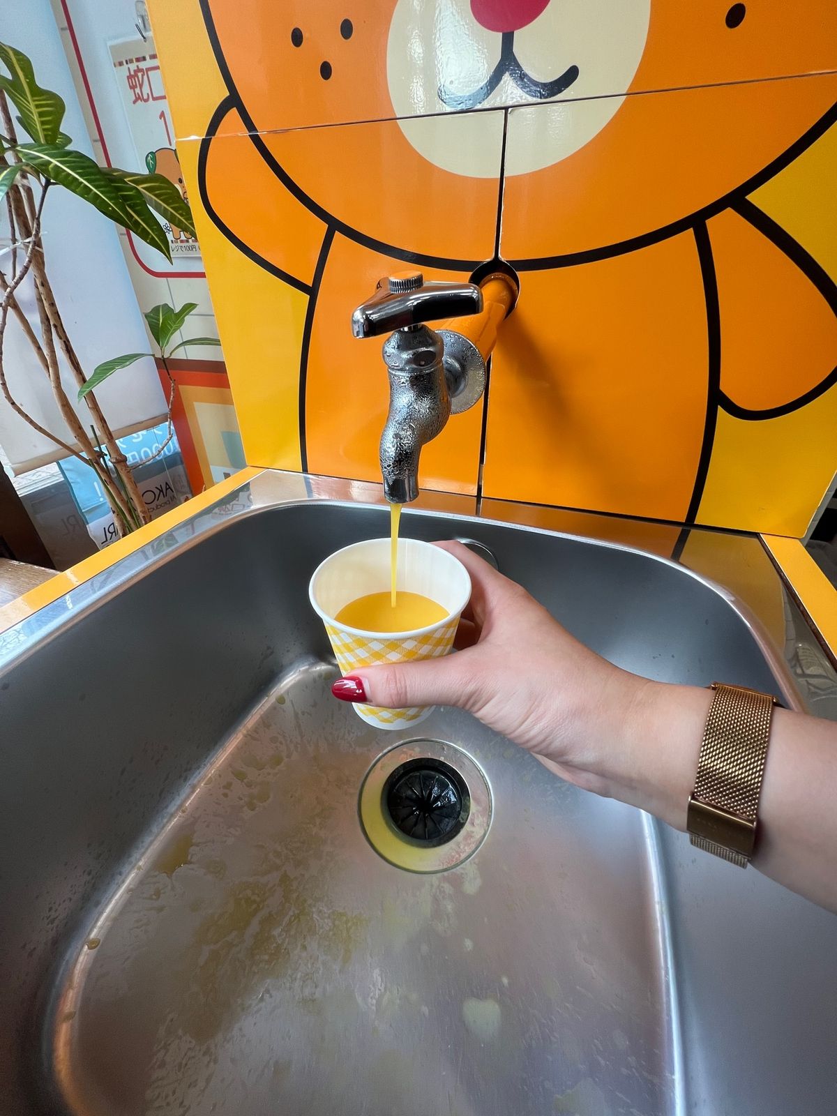 食べすぎたかもしれない