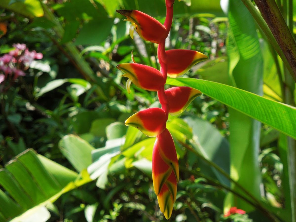 レオンから首都マナグアへ。同行友人はニカラグアにいろいろツテがあり、あちこ...