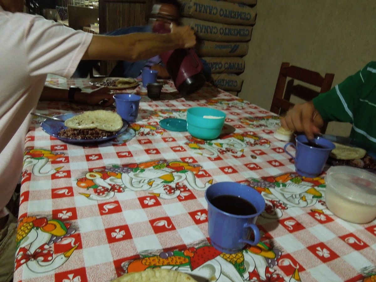 トラックの荷台に乗ってコーヒープランテーションに行って来た。ガイドブックな...