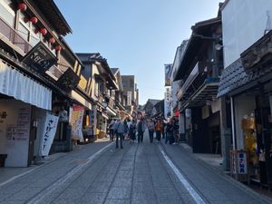 成田山新勝寺を見た後は、少し早めの晩御飯。
川豊の鰻を食べた。最高‼︎
前...