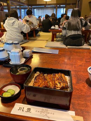 成田山新勝寺を見た後は、少し早めの晩御飯。
川豊の鰻を食べた。最高‼︎
前...