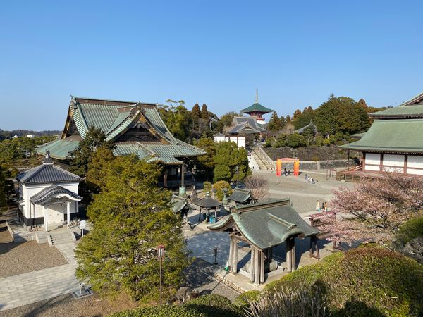 日本・千葉県「千葉県成田山へプチトリップ」の写真：パンフレットを見ながら全て回る。
もう桜...