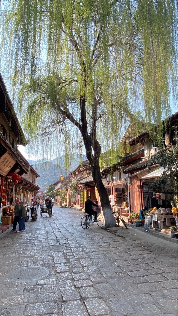 中国・重慶「リジャンとシャングリラ旅」の写真：麗江 束河古鎮