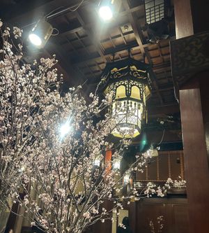 普段は使われていない本館宴会場フェニックスルームで、お花見イベント「夜桜の...