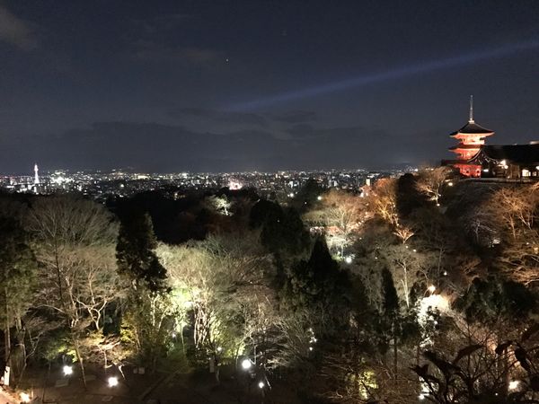 日本・京都府「大阪京都旅行」の写真