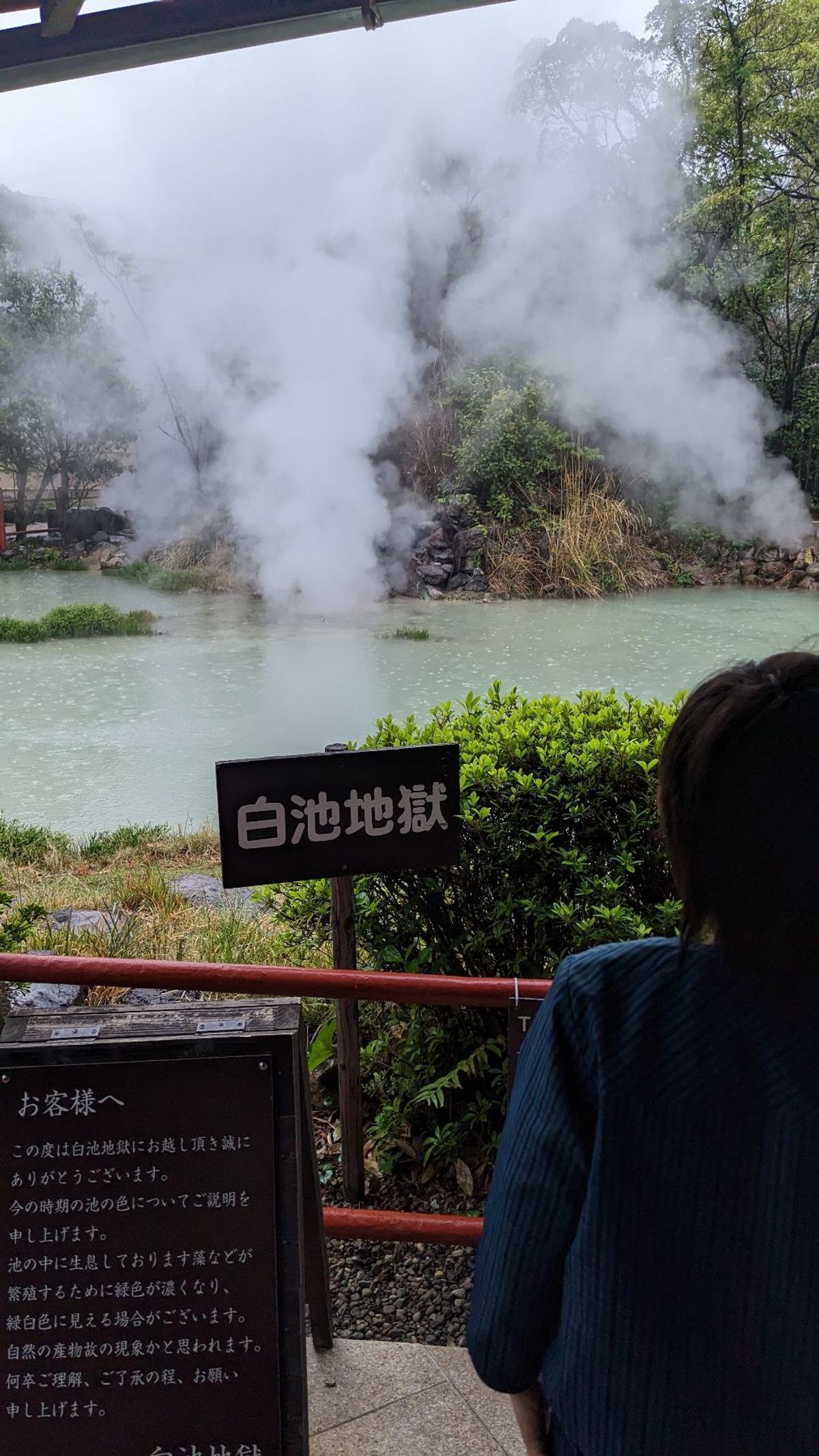 白池地獄。
こちらも足湯無し。そのかわりに淡水魚が見られる。
うーむ。