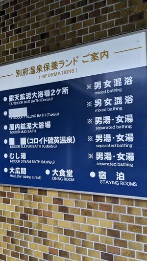 この日の最後の温泉コンテンツ、
別府温泉保養ランドへ。
ここは泥湯を楽しむ...