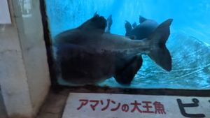 白池地獄。
こちらも足湯無し。そのかわりに淡水魚が見られる。
うーむ。