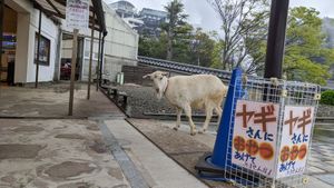 一番最初についたのは…
地獄めぐりには全く関係ないらしい山地獄（笑）
関係...