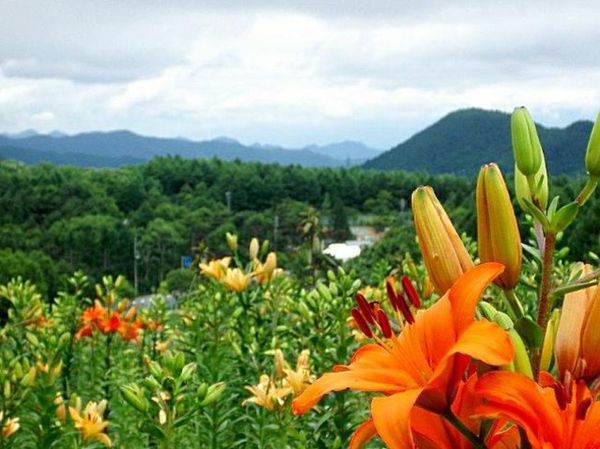 日本・長野県「白樺湖」の写真