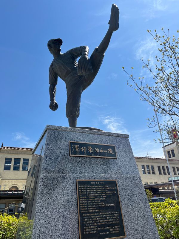 日本・三重県「桜とネモフィラ」の写真