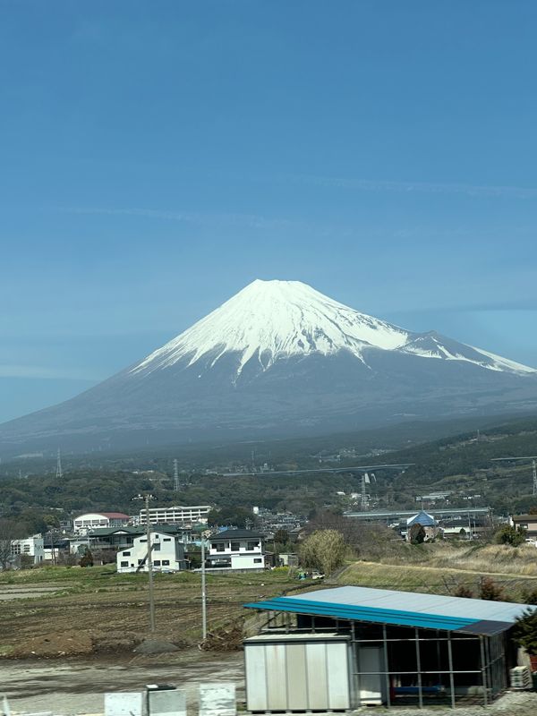 日本「京都へ　フライング桜🌸」の写真