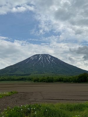 研修目的を達成し、地域の味や景色を満喫しました😆👍