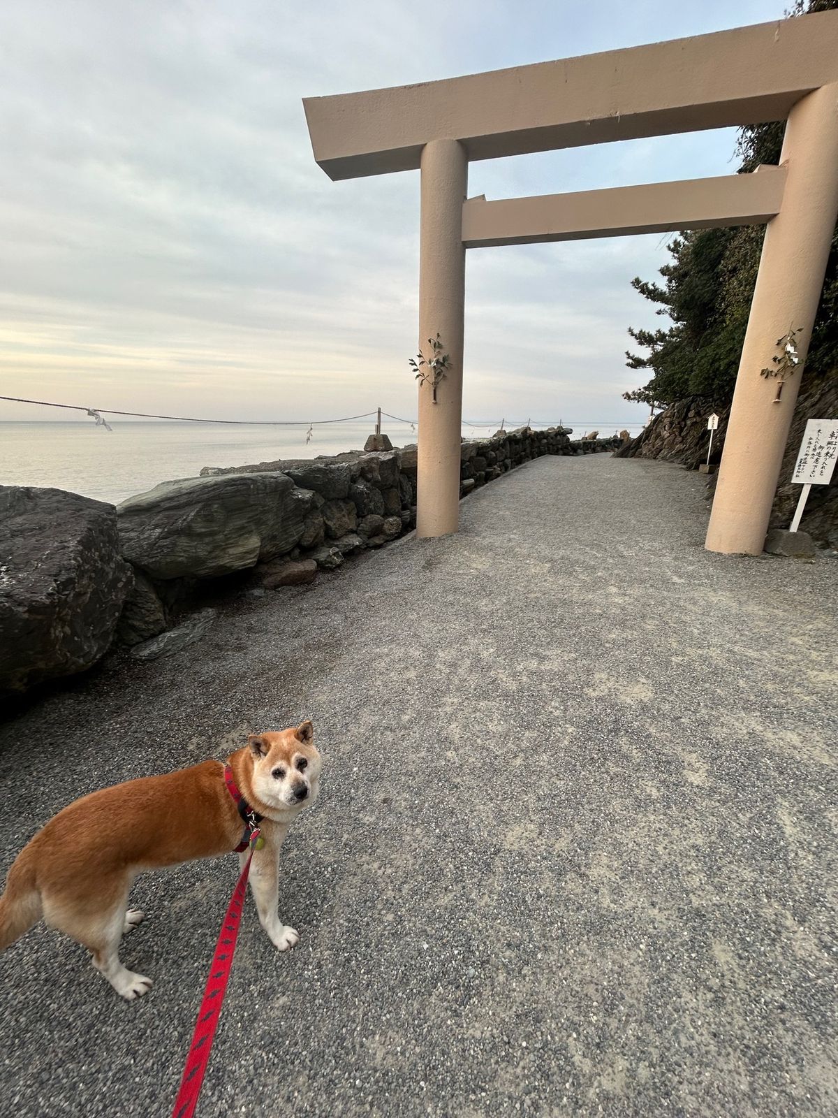 二見興玉神社と夫婦岩。