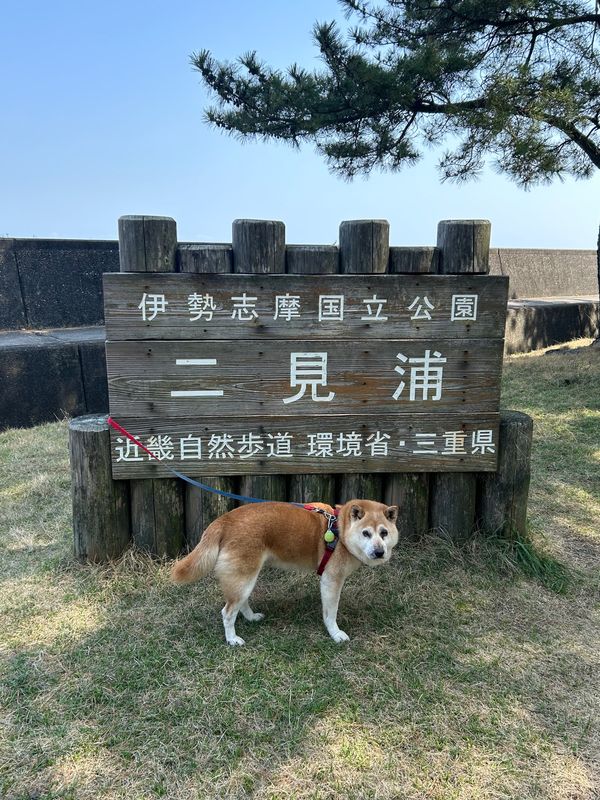 日本・伊勢神宮「ワンコと一緒にお伊勢さん参り🐕」の写真：二見興玉神社と夫婦岩。