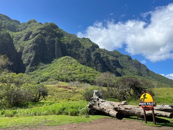 アメリカ(米国)・ホノルル「HNL✈︎ vol.4」の写真