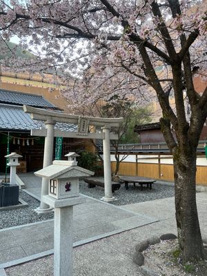 下呂温泉はお肌がツルツルになる❤️
飛騨牛美味しかった😋
桜は満開🌸