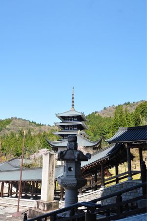 越前大仏大きかった
大仏殿の中は冷んやりしていて厳かな雰囲気だった