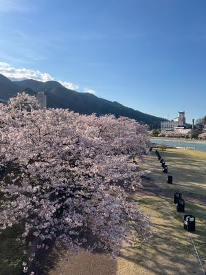 下呂温泉はお肌がツルツルになる❤️
飛騨牛美味しかった😋
桜は満開🌸