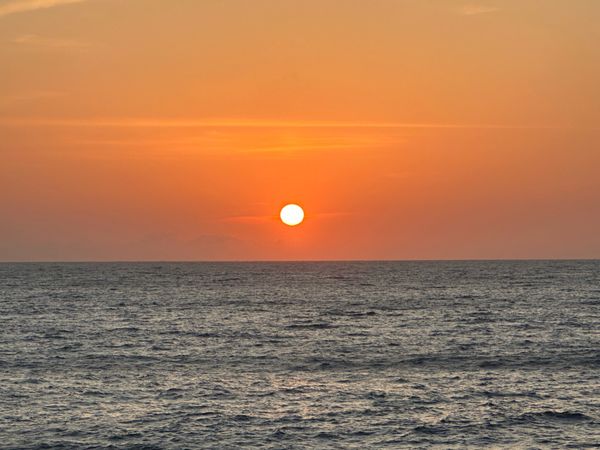 日本・鎌倉「伊豆・鎌倉　2024.04」の写真