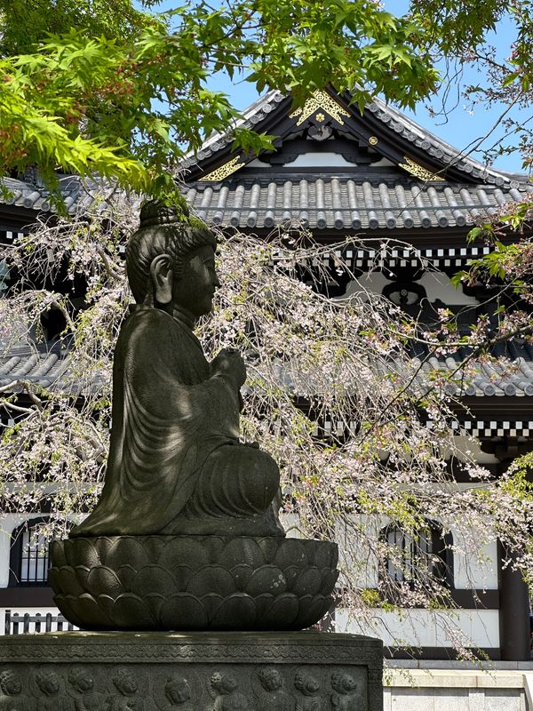 日本・鎌倉「伊豆・鎌倉　2024.04」の写真